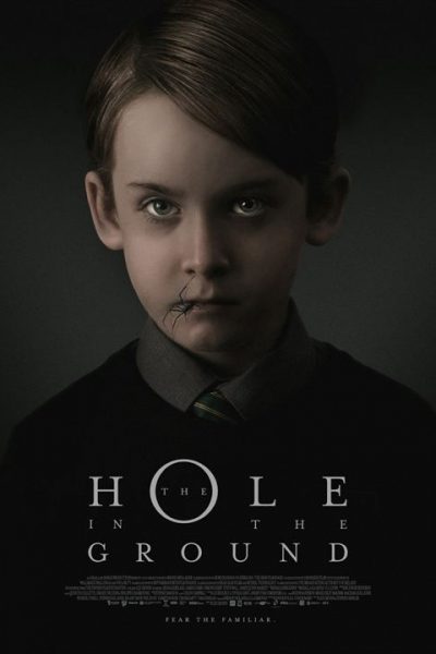 POSTER THE HOLE IN THE GROUND